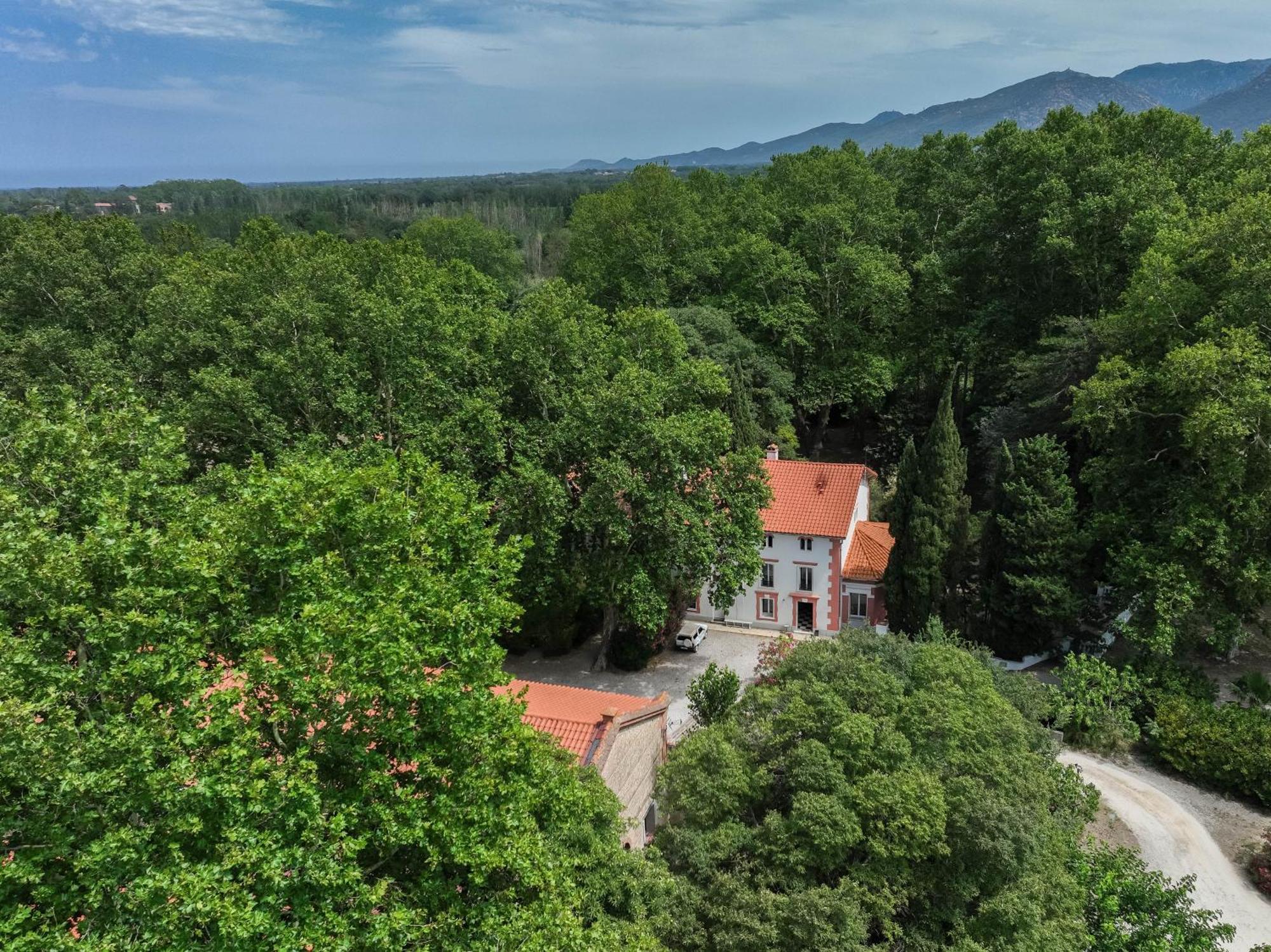 Gites Du Castell De Bles Saint-Génis Exteriör bild